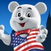 Ledo on the US market