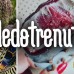 Dnevni pobjednici velikog proljetnog Instagram natječaja #LedoTrenutak!