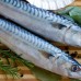 Bijela i plava riba: Saznajte kako se razlikuju i zašto su zdrave